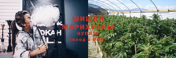тгк Осташков